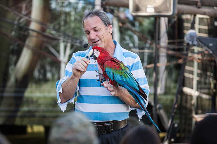 PERFORMANCES---THE-BIRDMAN