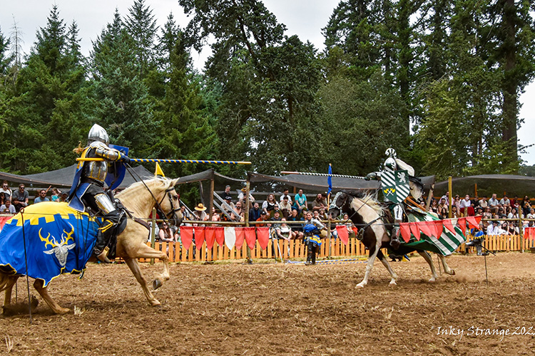 Seattle-Knights